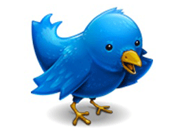 using twitter in china