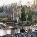gooseberry-falls-mn