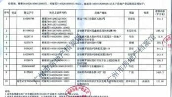 Cai Bin property list