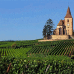 China buys French vineyards