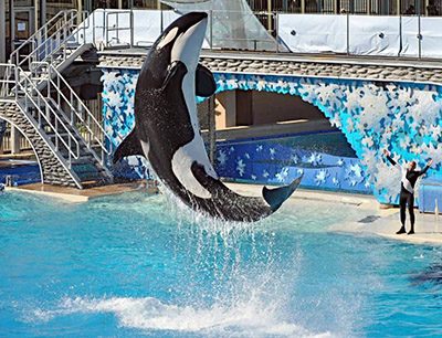 Blackstone Seaworld