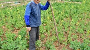 Grandpa Ding