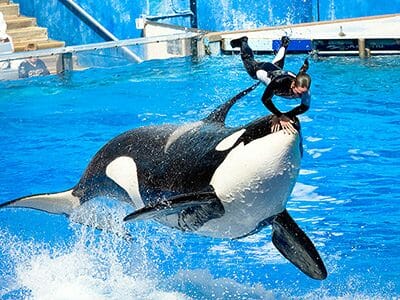 Seaworld Zhonghong