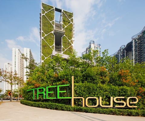 Tree House CDL