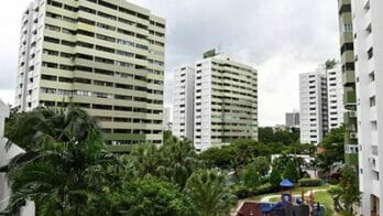 pine grove singapore