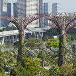 Gardens by the Bay, Singapore, Singapore. Architect: Wilkinson Eyre Architects, 2011.