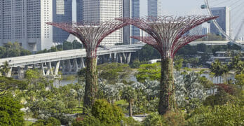 Gardens by the Bay, Singapore, Singapore. Architect: Wilkinson Eyre Architects, 2011.